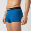 Men Hemp Trunks - VS-MHT-BGPR1