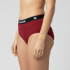 Women’s Classic Hemp Briefs - VS-WCHB-BGPR1